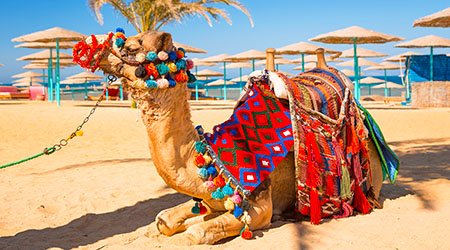 Letenky Praha Hurghada