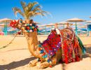 hurghada 1600