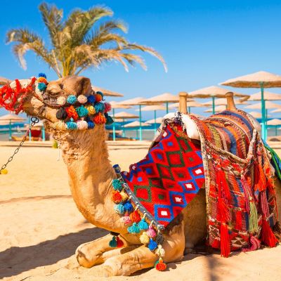 hurghada 1600