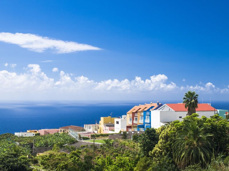 la palma600 la palma600