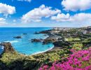 la palma