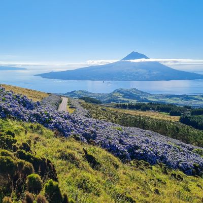 ponta delgada