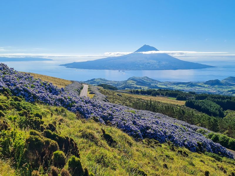 ponta delgada ponta delgada