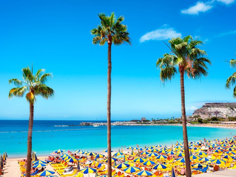 gran canaria 1600 gran canaria 1600