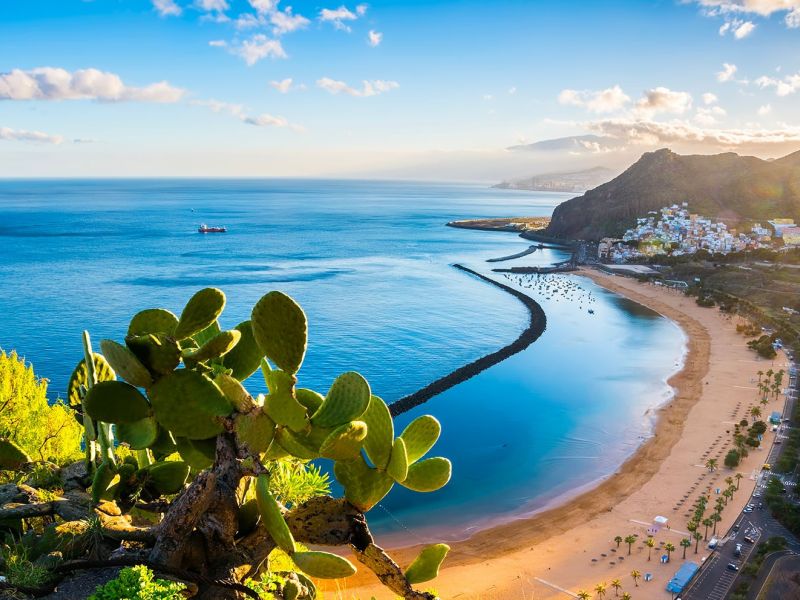 tenerife 1600 tenerife 1600